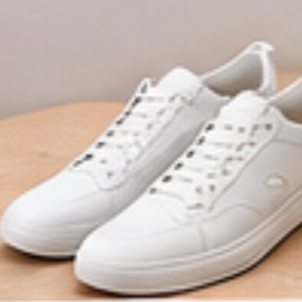 shoes shoes
